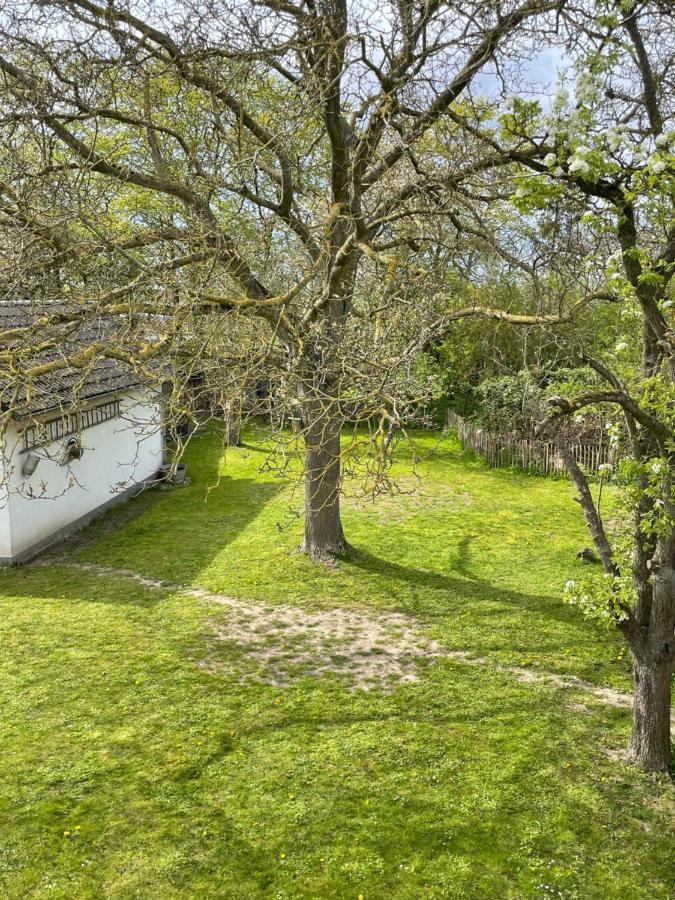 Kleines Haus Am Feld Villa Rehna Luaran gambar