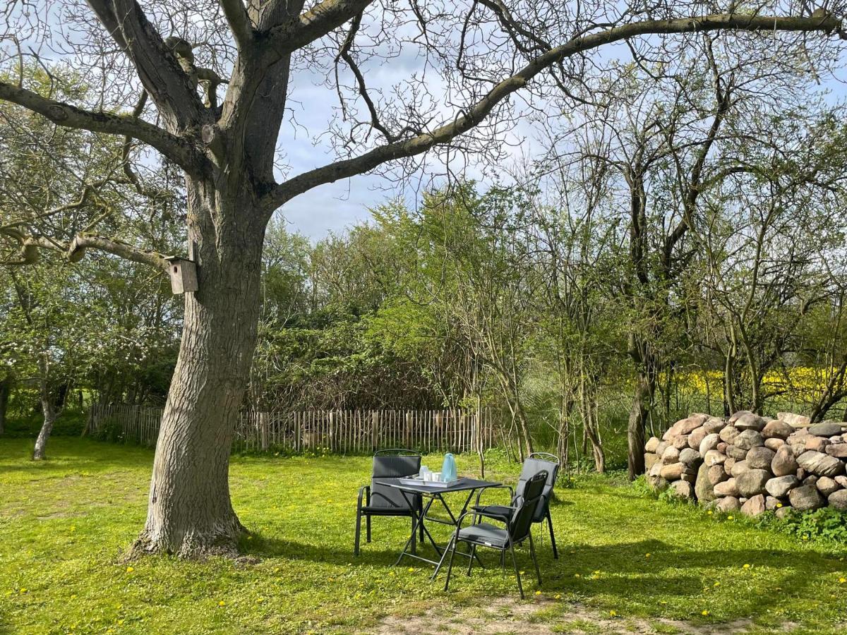 Kleines Haus Am Feld Villa Rehna Luaran gambar